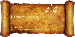 Licker Gyula névjegykártya